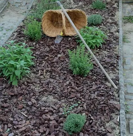 Ferienhaus Edy Con Piscina Per Gruppi E Famiglie *