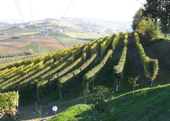 Edy Con Piscina Per Gruppi E Famiglie